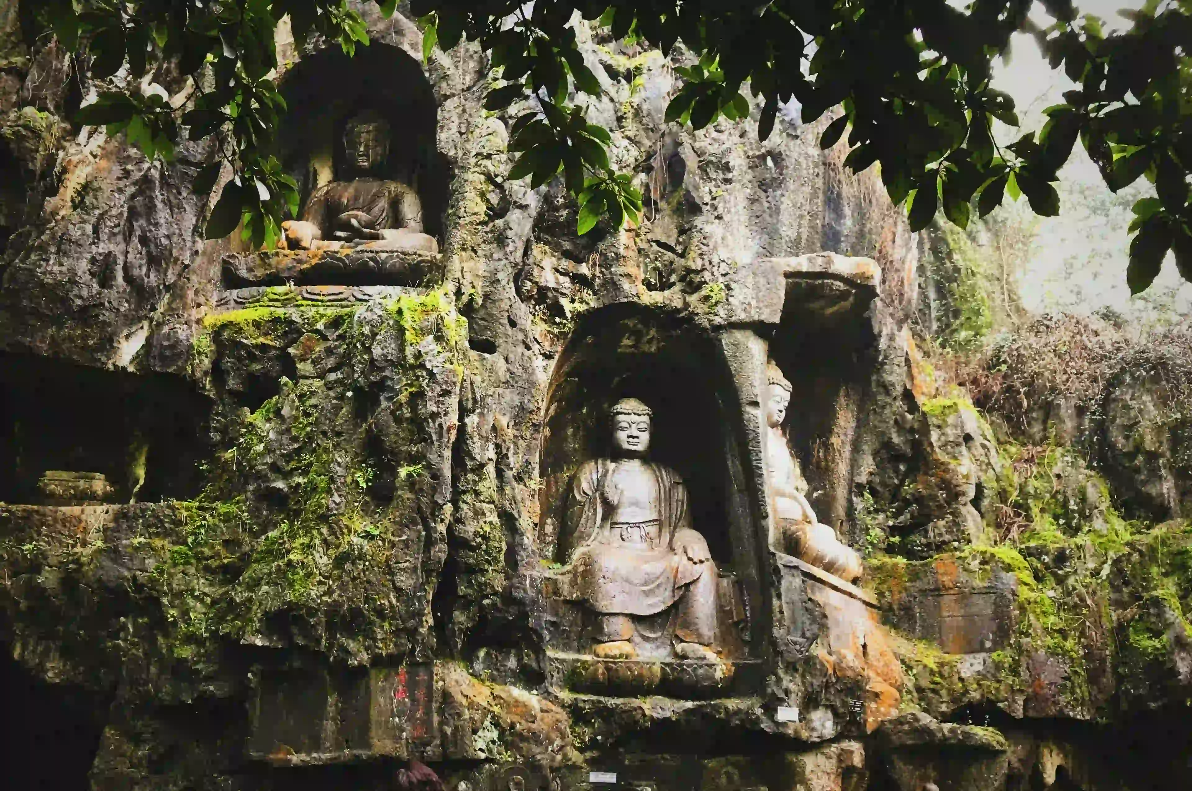 Buddhist heritage journey