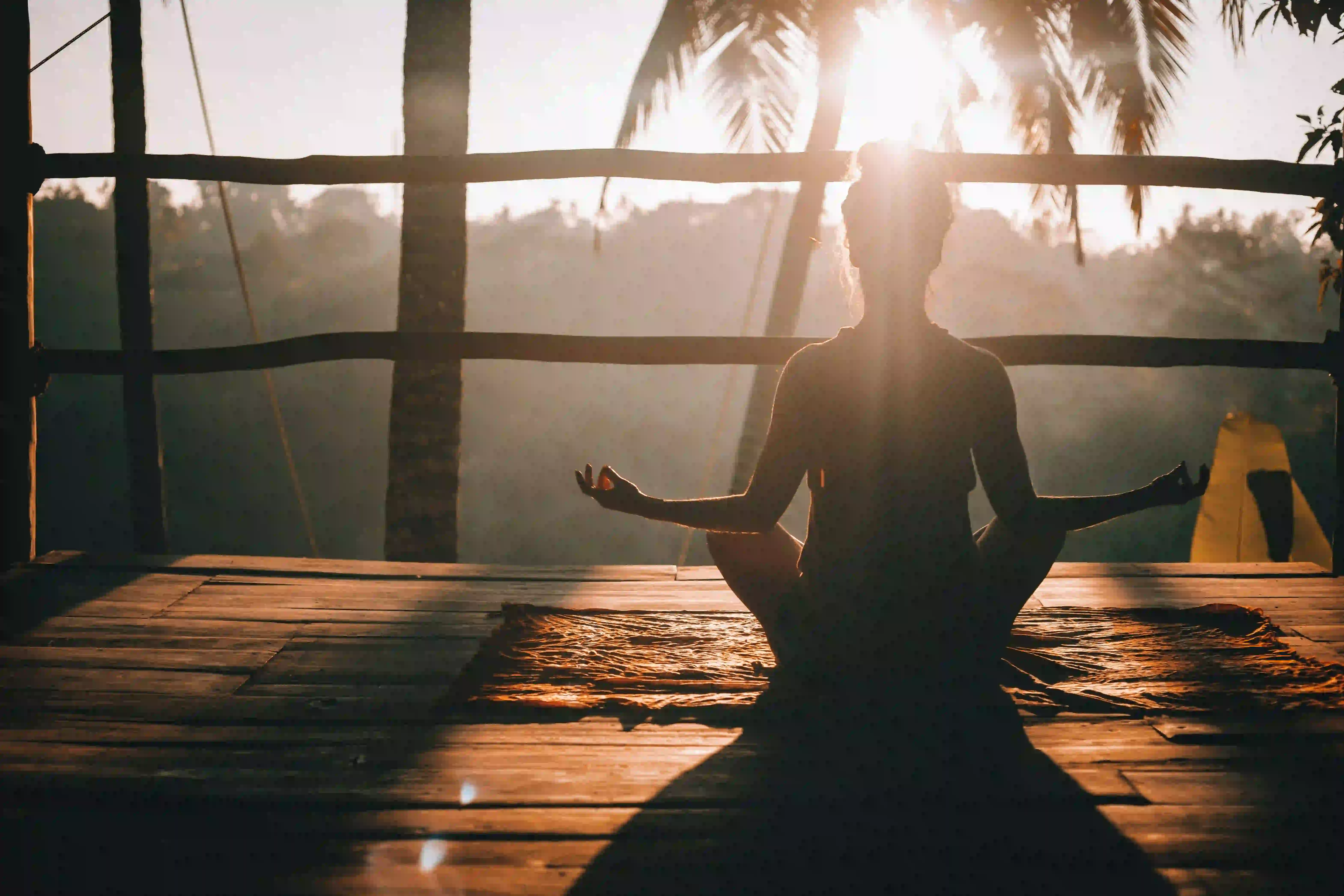 Yoga and meditation journey